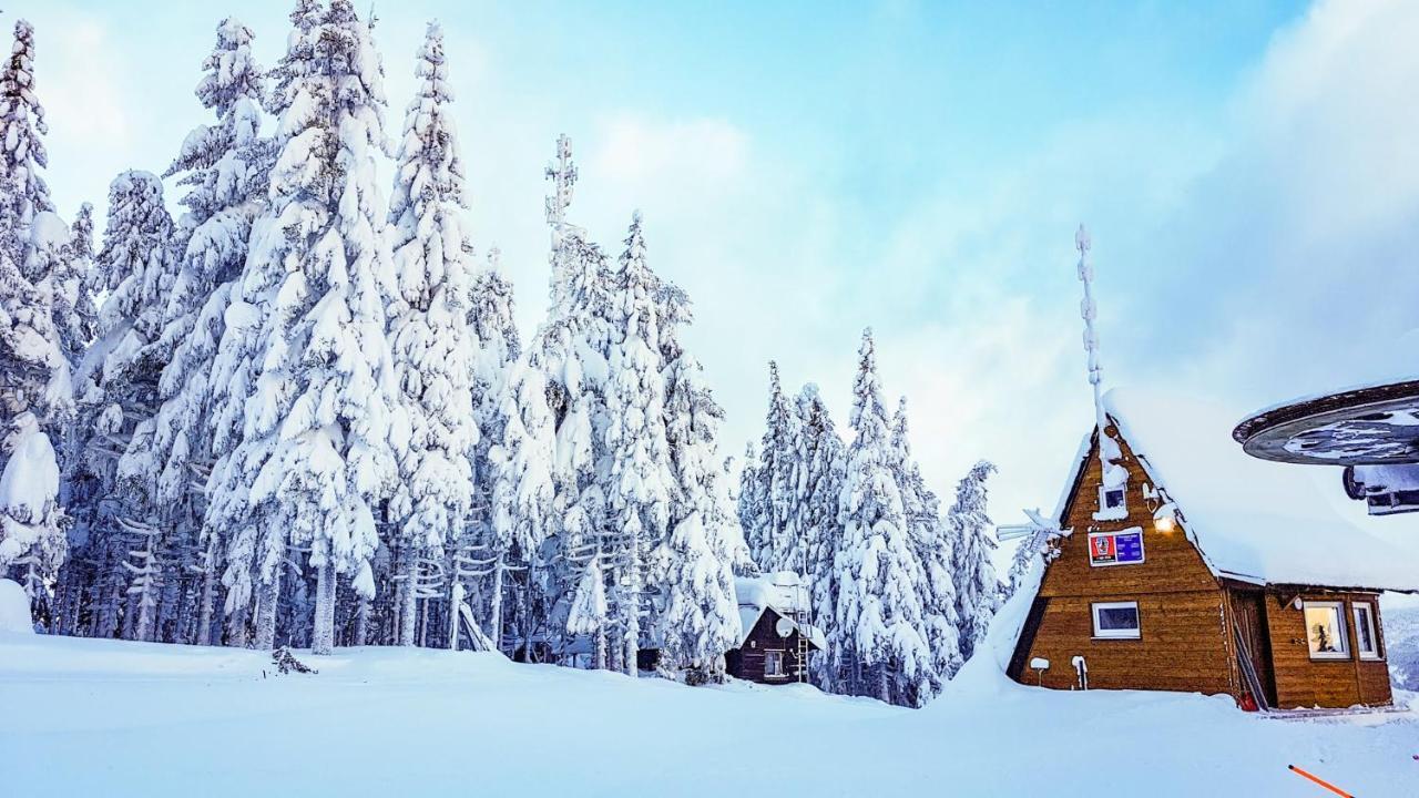 Apartment Mumlava Harrachov 1 Eksteriør billede